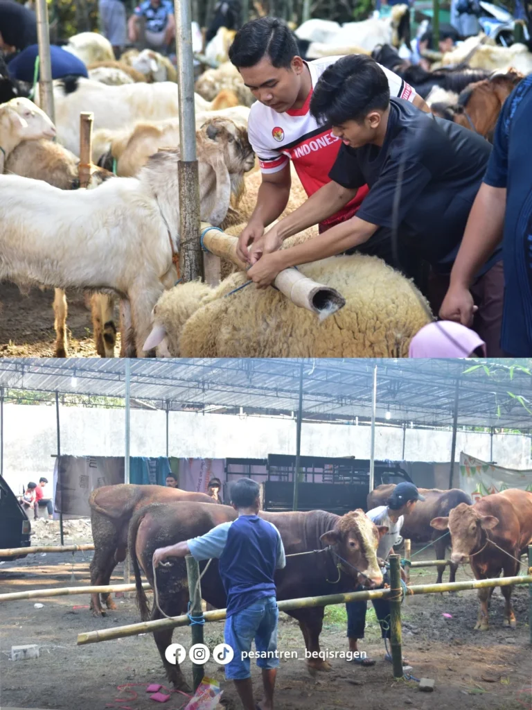 PERAYAAN IDUL ADHA 1447 H DI PESANTRENAlhamdulillah tahun ini perayaan Idul Adha 1447 H terasa 6